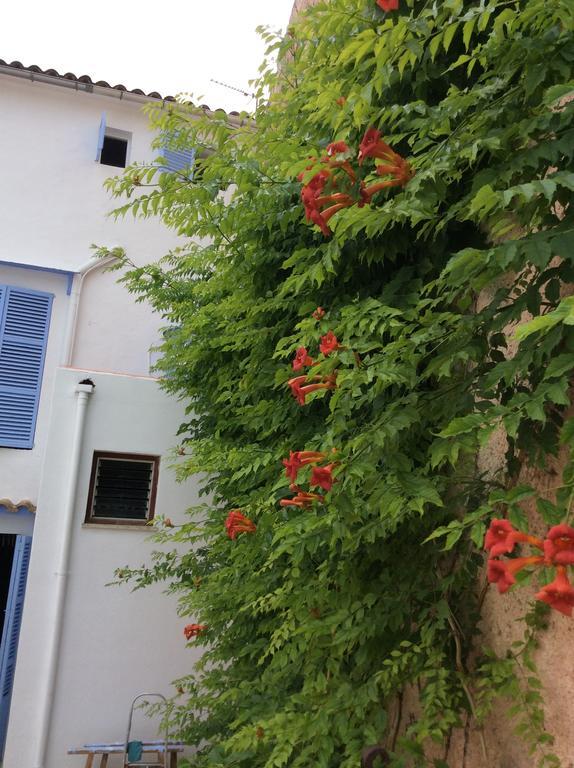 Ithaka Vacacional Hotel Arta Bagian luar foto